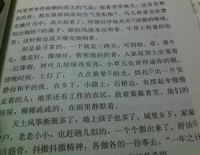 给予600字作文5篇大全