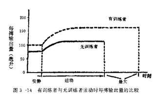 呼吸和心跳的频率是多少?