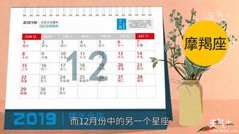 12月分别是什么星座?