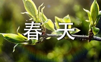 四年级春天的景se作文400字【七篇】