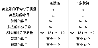 氨基酸的分类有哪些